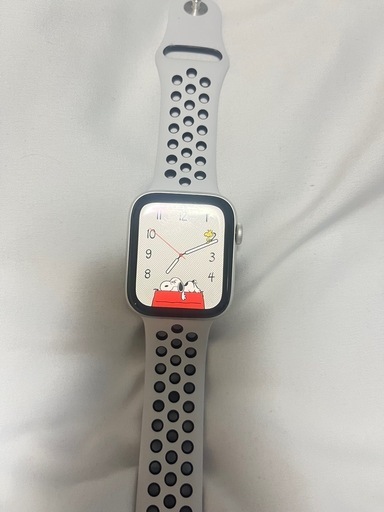 アップルウォッチseries6