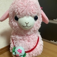 アルパカちゃんの画像