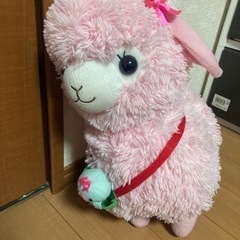 アルパカちゃんの画像