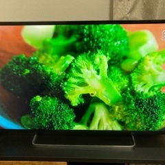 REGZA 43型テレビ