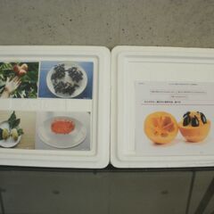 アテモヤ冷凍品　（スライス品）の画像