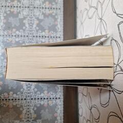 モンスターハンター ポータブル 2nd マスターガイドの画像