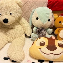 ぬいぐるみ
