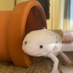 友達募集中