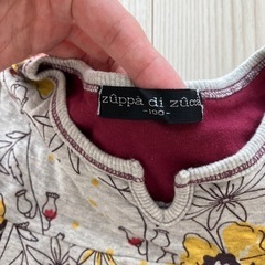 【新品】zuppa di zucca 100の画像