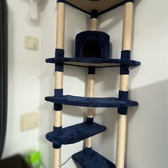 キャットタワー 突っ張りタイプの画像