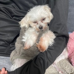 ゆるーくバレーしませんか？☺️