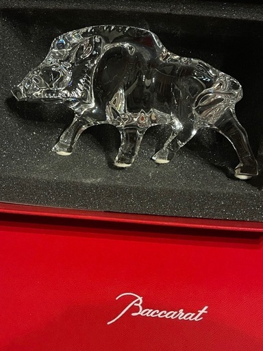 バカラ　　イノシシクリスタル！