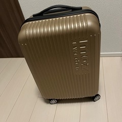 モズ_キャリーケース_ MOZ0020GDの画像