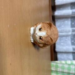 可愛い小物