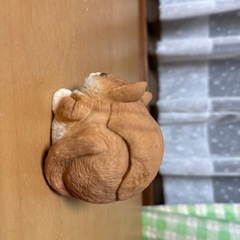 可愛い小物の画像