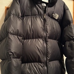 プロアクア済み　THE NORTH FACE 1996Nupts...