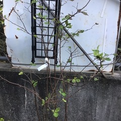 MAX マックス CN-450S(FP) コイルネイラ 常圧釘打機 中古【ハンズクラフト沖縄豊見城店】ナツハゼ１３０