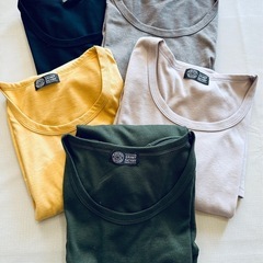 受付中です❗️最終値下げしました‼️　バラ売可❗️Lサイズ　無地 　指穴付きTシャツの画像