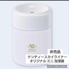京成スカイライナー 
KENTY SKYLINER
USB式オリジナルミニ加湿器の画像