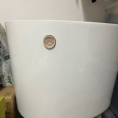 猫　トイレ