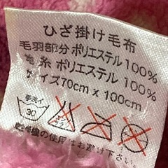 プリキュアの.ヒザかけ毛布の画像