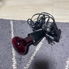 ズーメッド 赤外線保温球75W ソケット付き 爬虫類 トカゲの画像