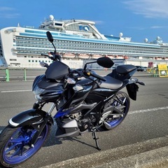 GSX125S の画像
