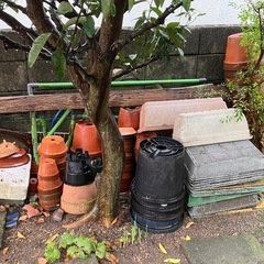 【終了】植木鉢 各種  取りに来ていただける方