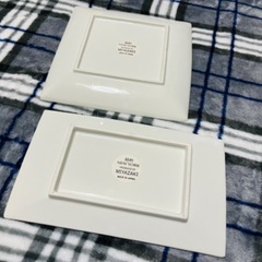 【美品】MIYAZAKI お皿2枚セットの画像