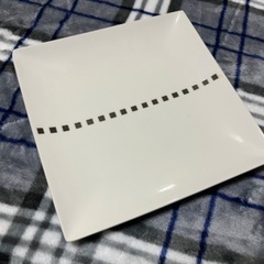 【美品】MIYAZAKI お皿2枚セットの画像