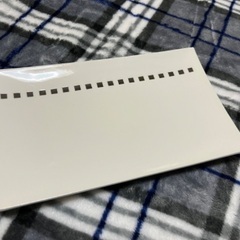 【美品】MIYAZAKI お皿2枚セットの画像