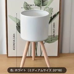 0円！モンステラ|観葉植物|鉢Setの画像