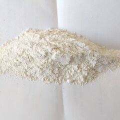 小麦種子　12g 300粒＋　2025年採種　無農薬　コムギの画像