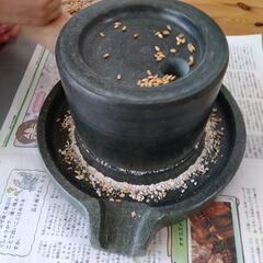 小麦種子　12g 300粒＋　2025年採種　無農薬　コムギの画像