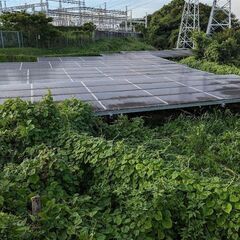 太陽光発電所の草刈り、除草、管理等なんでもご相談ください　