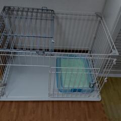ペット用品(犬)お譲りします。