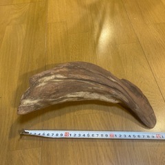 流木