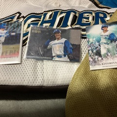 頑張れ！　日ハム　清宮 幸太郎選手　応援グッズの画像