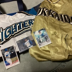 頑張れ！　日ハム　清宮 幸太郎選手　応援グッズの画像