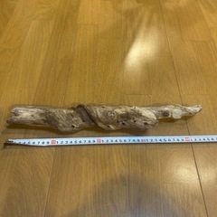 流木 スクリュー系