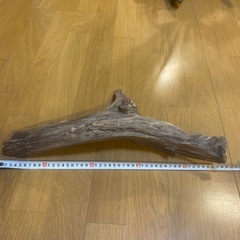 流木 