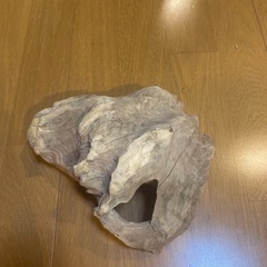 流木の画像