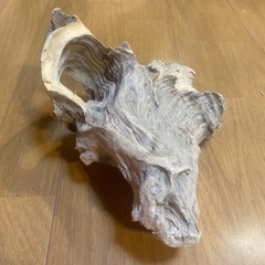 流木の画像