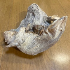 流木の画像
