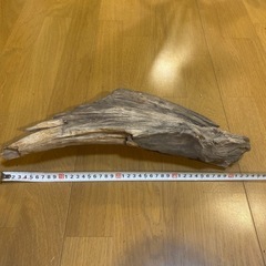 流木