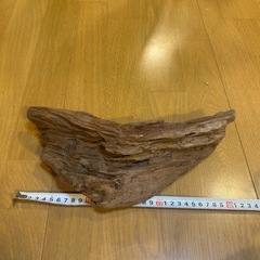 流木