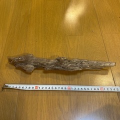 流木