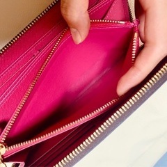 LOUIS VUITTON  ジッピーウォレットの画像