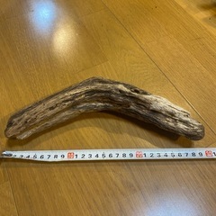 流木