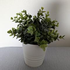 【IKEA】観葉植物❁造花❁鉢付き