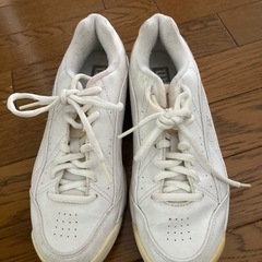 ウィルソンテニスシューズ
