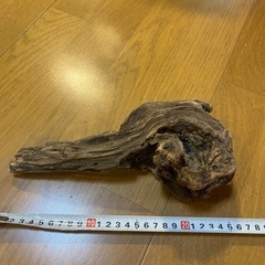 流木