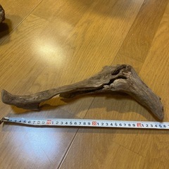 流木