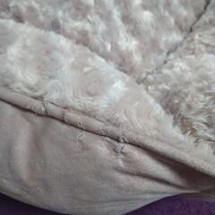 値下げ☆ペットベッドの画像